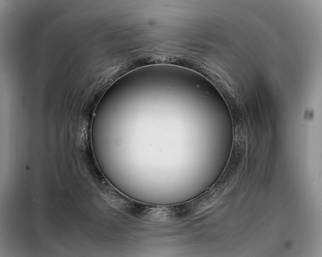 X0000097980127200804071135