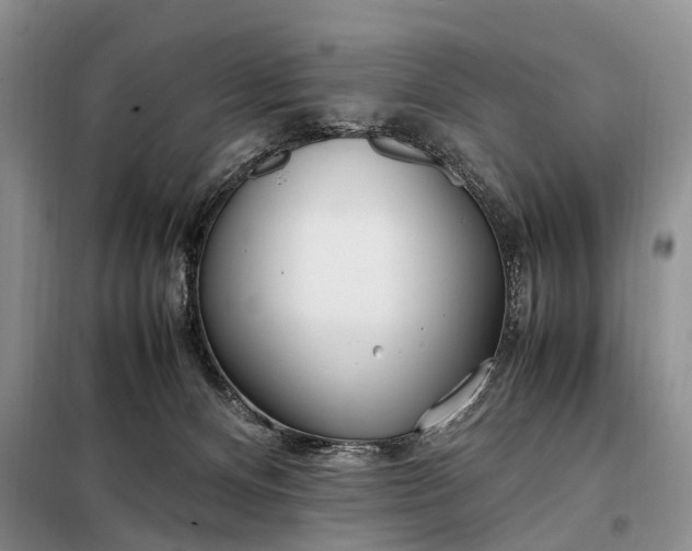 X0000097980128200804071135