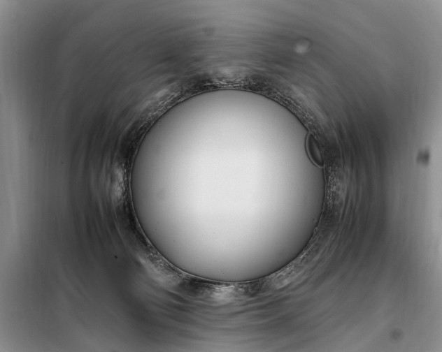 X0000097980130200804071135