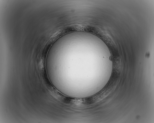 X0000097980131200804071135