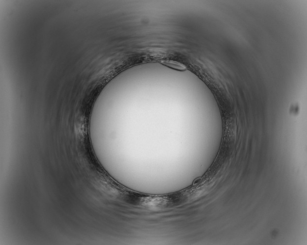 X0000097980135200804071135