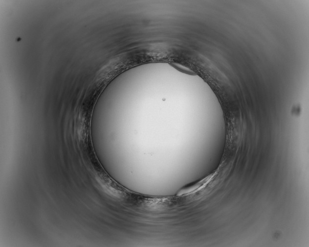 X0000097980136200804071135