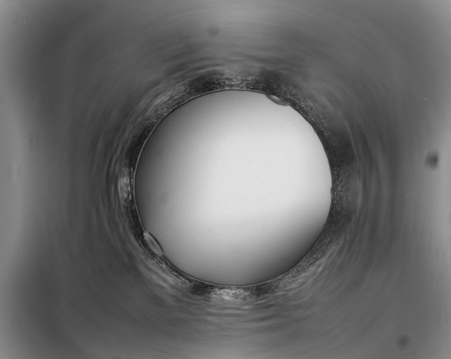 X0000097980137200804071135