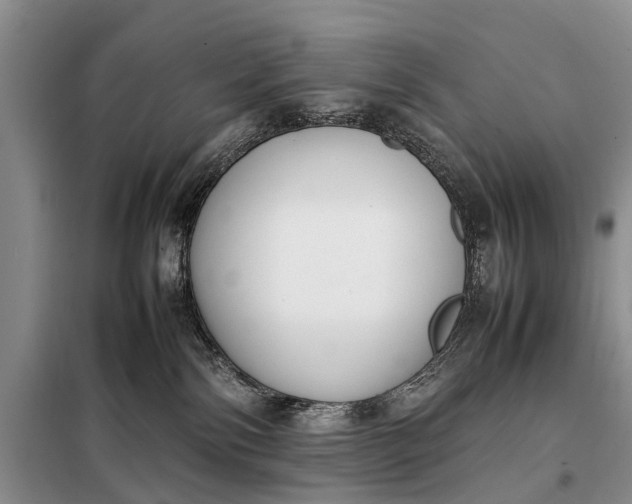 X0000097980138200804071135