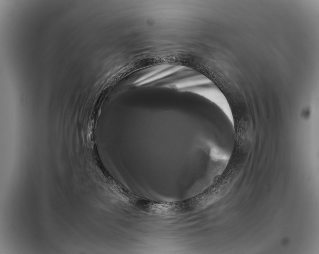 X0000097980139200804071135