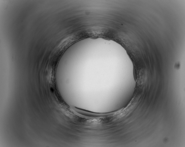 X0000097980140200804071135