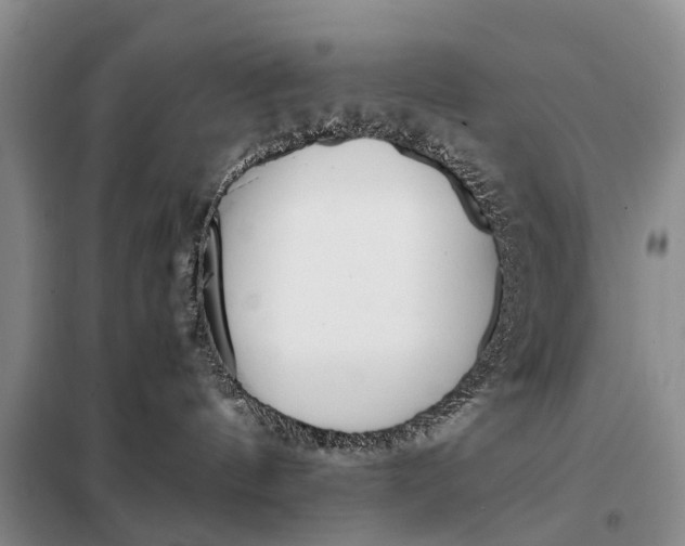 X0000097980144200804071135