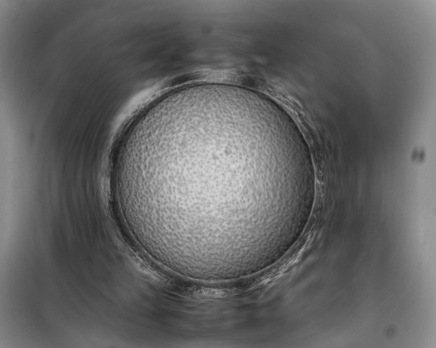 X0000097980149200804071134