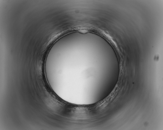 X0000097980154200804071134