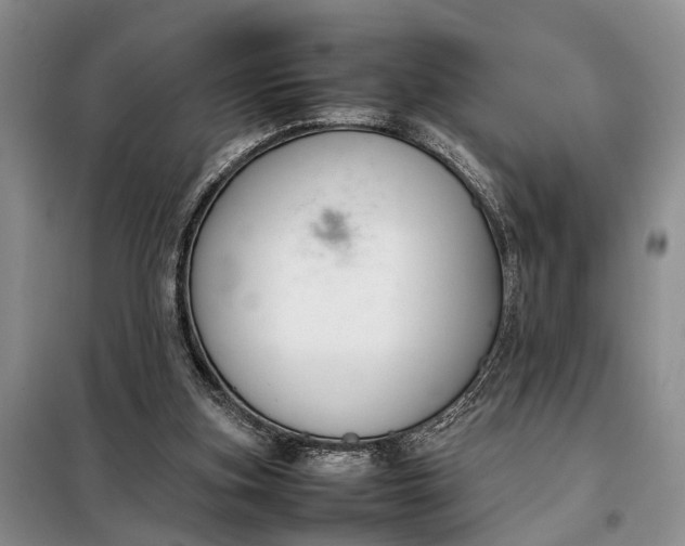 X0000097980155200804071134