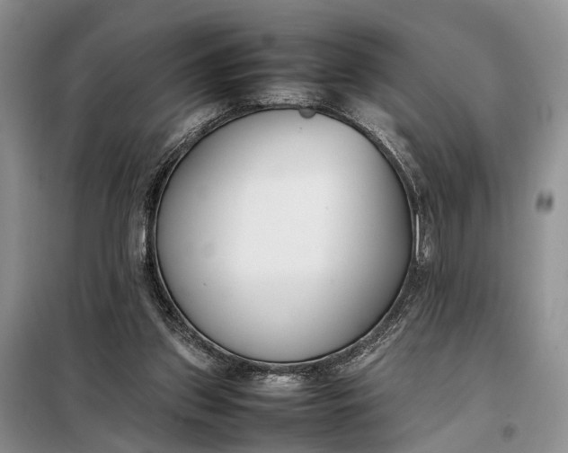 X0000097980157200804071134