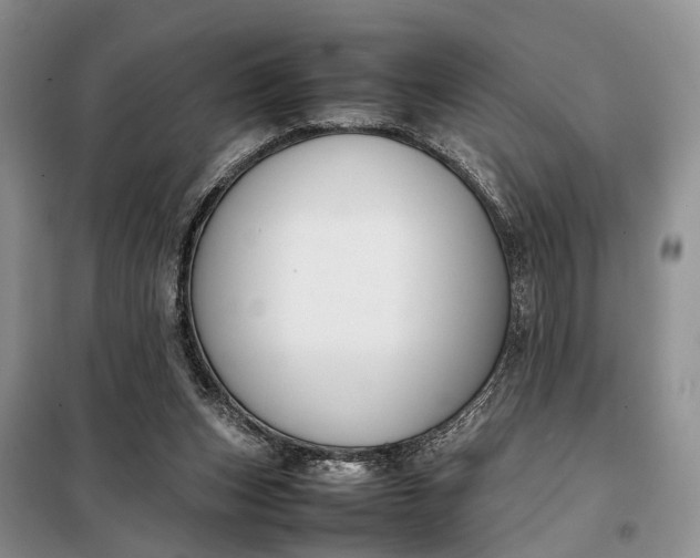 X0000097980159200804071134