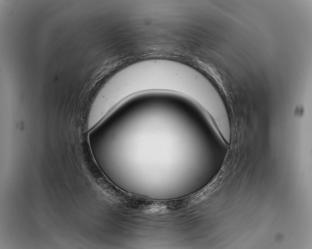 X0000097980162200804071134