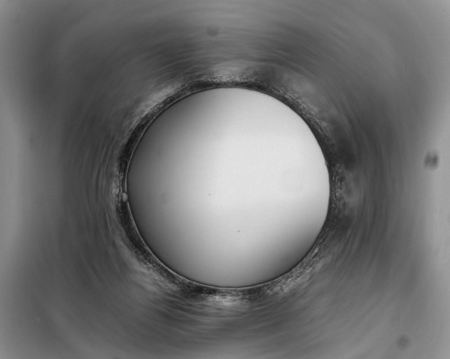 X0000097980164200804071134