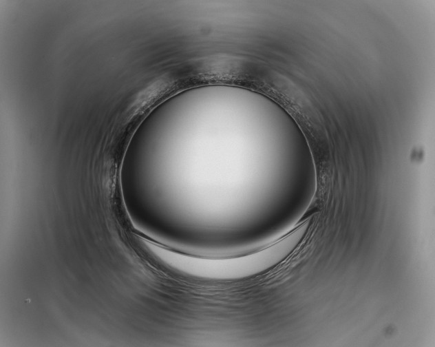 X0000097980168200804071134