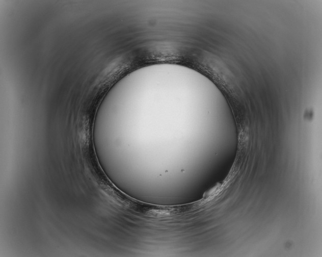 X0000097980170200804071134