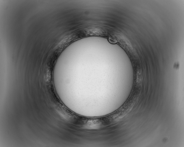 X0000097980173200804071134