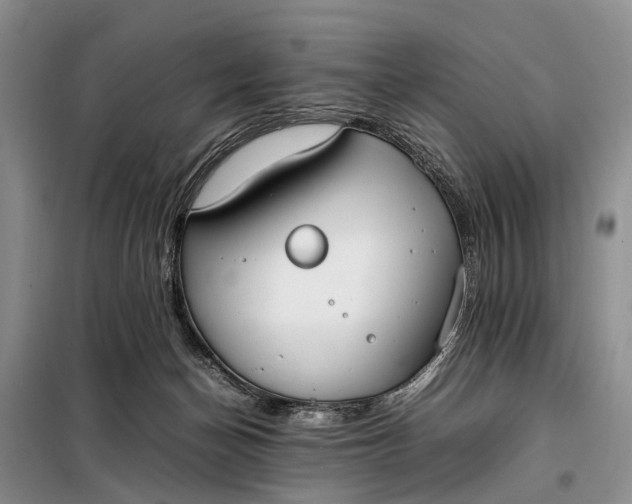 X0000097980174200804071134