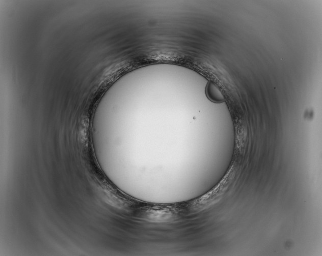 X0000097980175200804071134