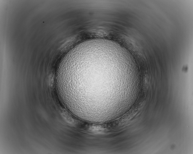 X0000097980177200804071134