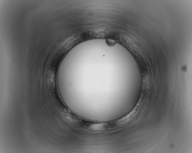 X0000097980178200804071134