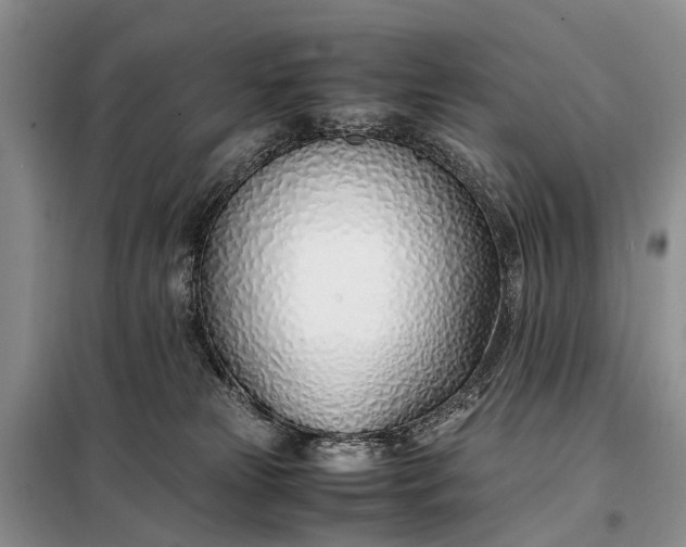 X0000097980181200804071134