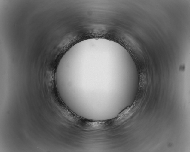 X0000097980184200804071134