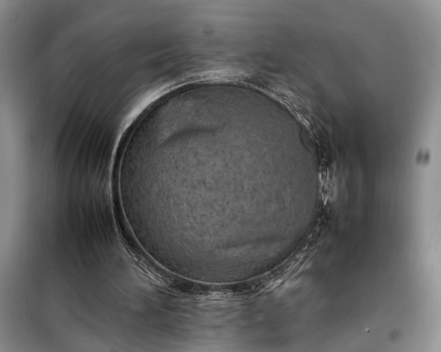 X0000097980196200804071134