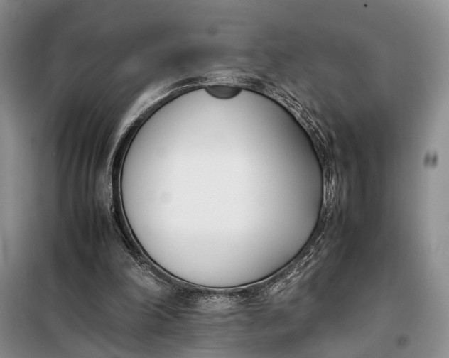 X0000097980198200804071134