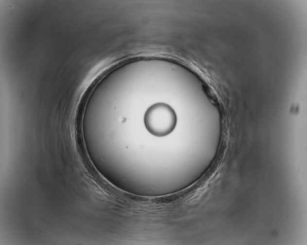 X0000097980199200804071134