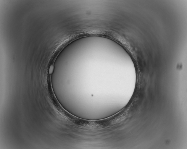 X0000097980201200804071134