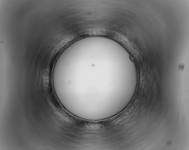 X0000097980202200804071134