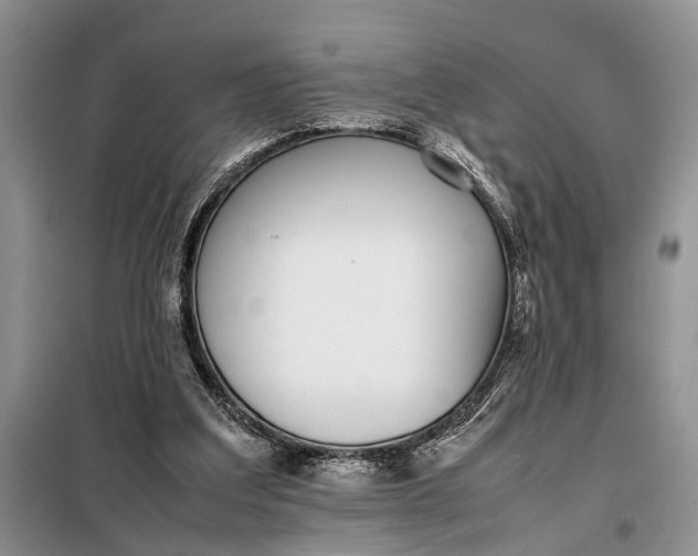 X0000097980203200804071134