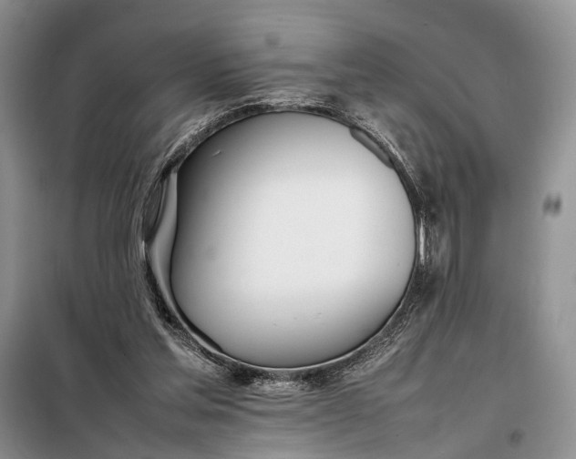 X0000097980205200804071133