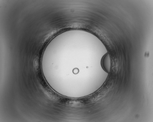 X0000097980208200804071133