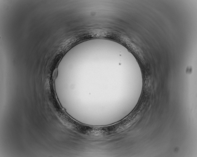 X0000097980209200804071133