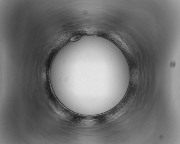 X0000097980213200804071133