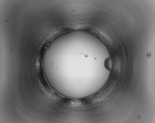 X0000097980214200804071133