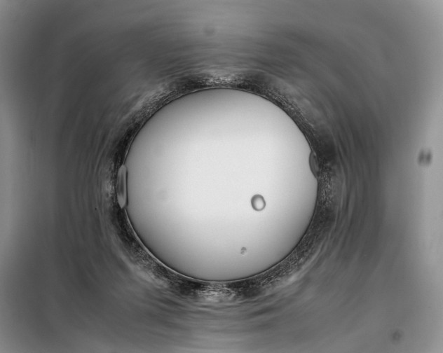 X0000097980215200804071133