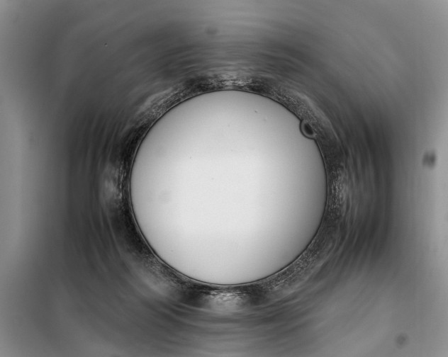 X0000097980218200804071133