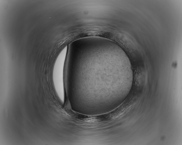 X0000097980219200804071133