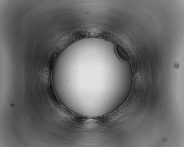 X0000097980222200804071133