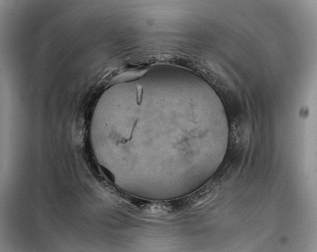 X0000097980223200804071133