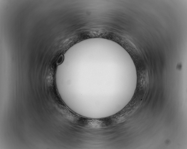 X0000097980226200804071133