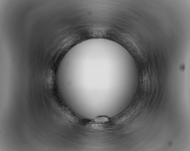 X0000097980228200804071133