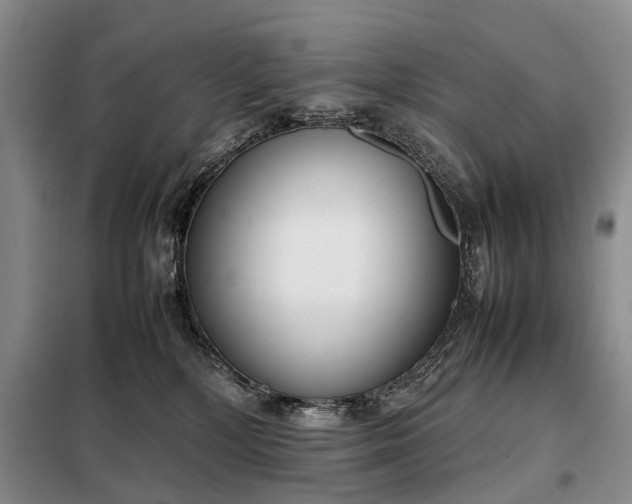X0000097980232200804071133