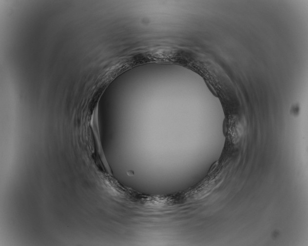 X0000097980235200804071133