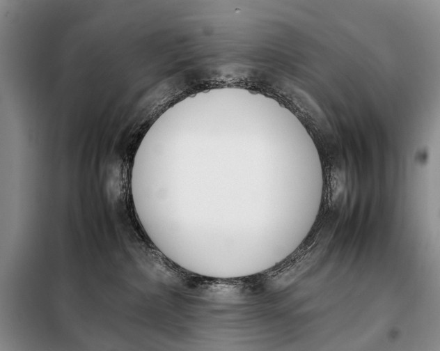 X0000097980236200804071133