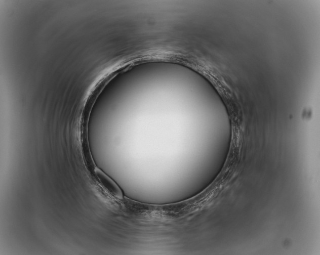 X0000097980244200804071132