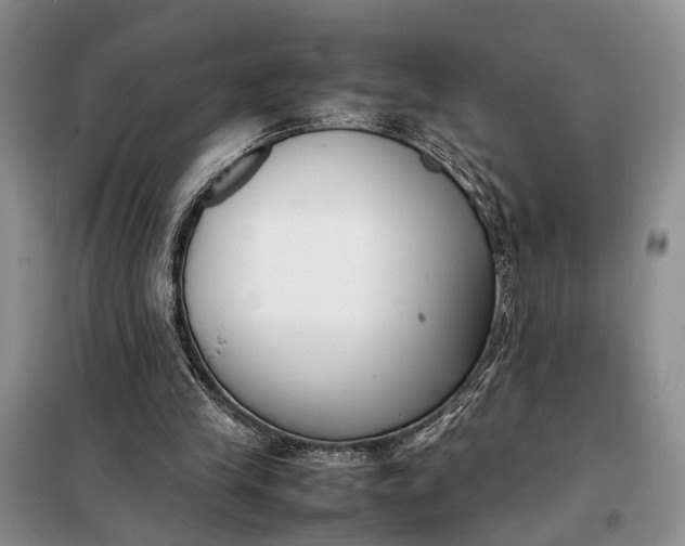 X0000097980245200804071132